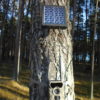 Päikesepaneel ja 3g rajakaamera puu küljes